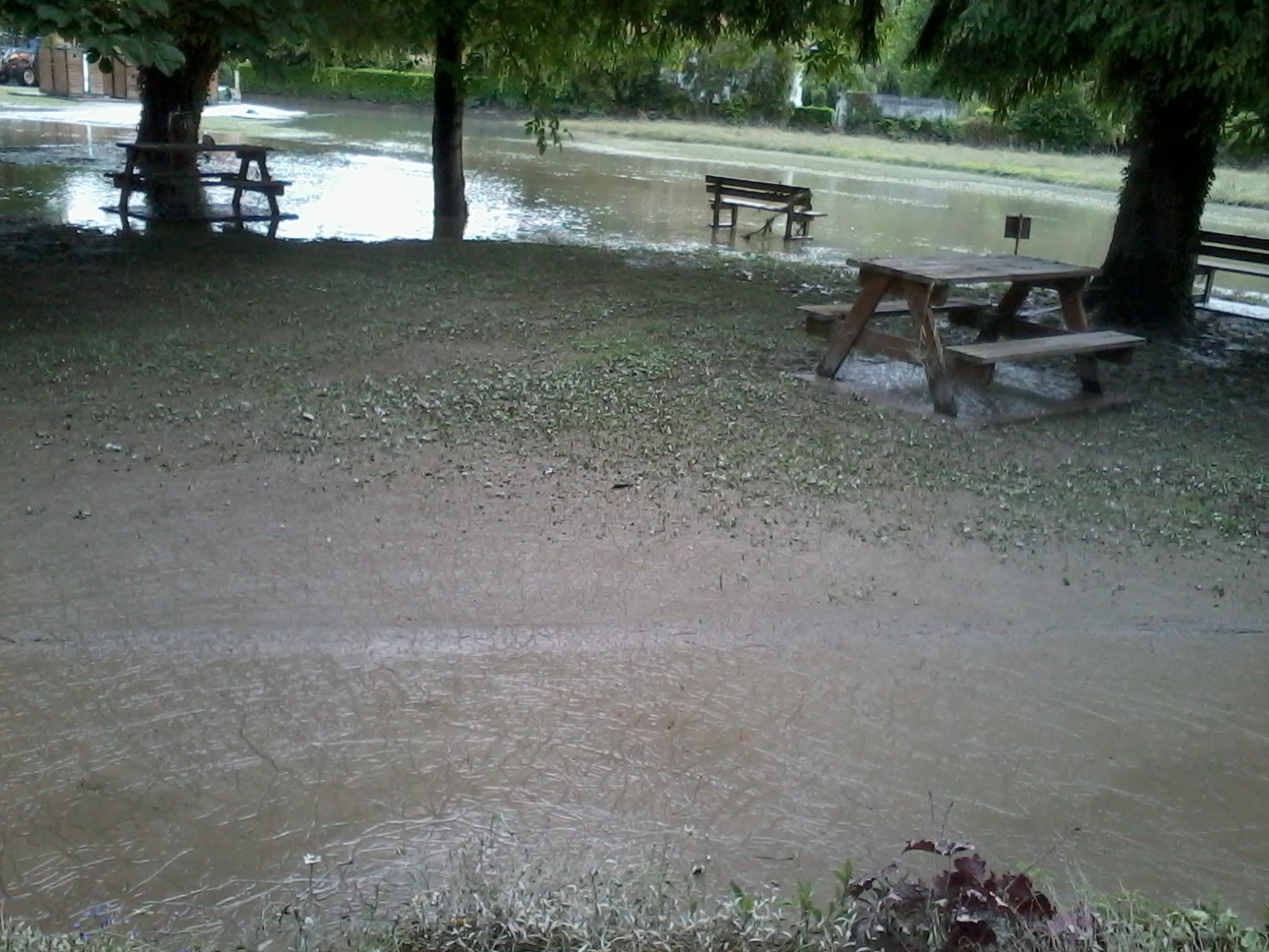 20 Juin 11h.jpg
